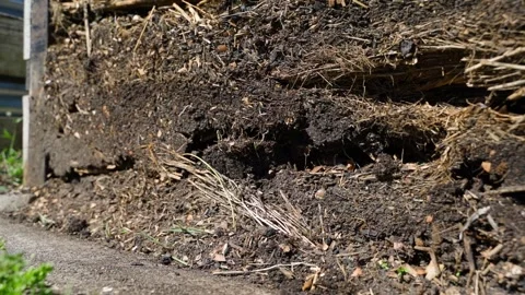 Cross section of compost heap layers with straw and dark humus close-up Vídeos de archivo 341748020