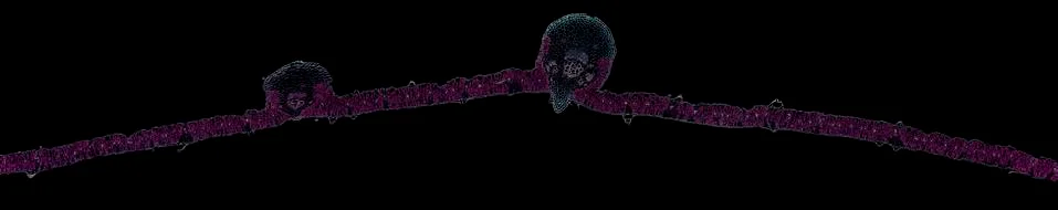 Cross section cut under microscope microscopic view of botanic plant cells Stock Photos