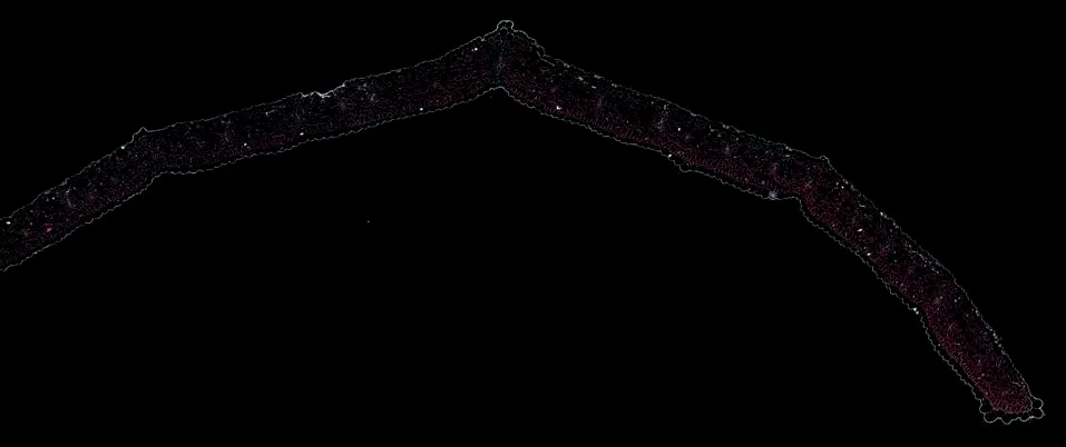 Cross section cut under microscope microscopic view of botanic plant cells Stock Photos