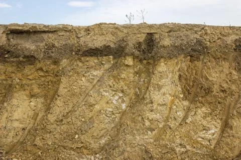 Cross section of dirt Stock Photos