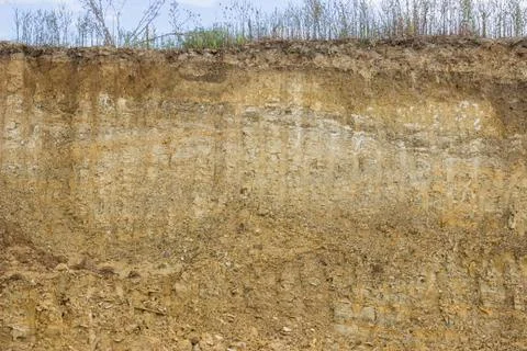 Cross section of dirt Stock Photos