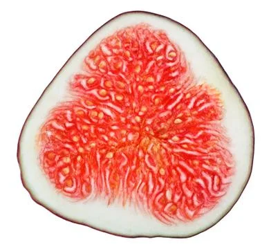 Cross-section of fig tree fruit isolated on white Foto stock