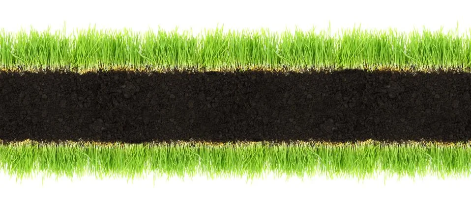 Cross-section frame of soil and grass isolated on white Stock Photos