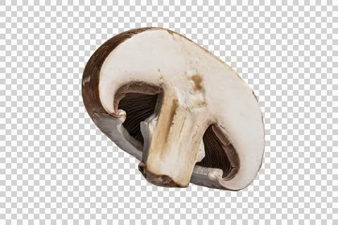 A cross section of a fresh brown cremini mushroom on a transparent background 库存照片