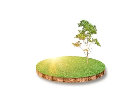 Cross section ground of green grass field Isolated on white background Stock Photos