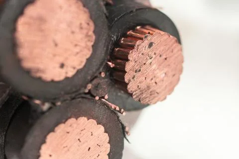 Cross section of high-voltage cable. Stock Photos