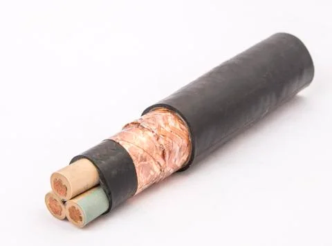 Cross section of high-voltage cable, polymer insulation Stock Photos