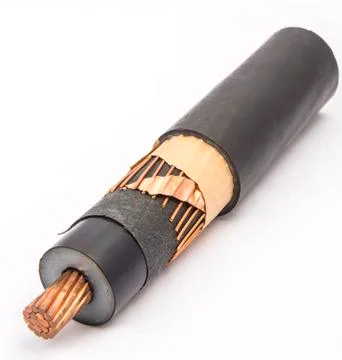 Cross section of high-voltage cable, polymer insulation Stock Photos