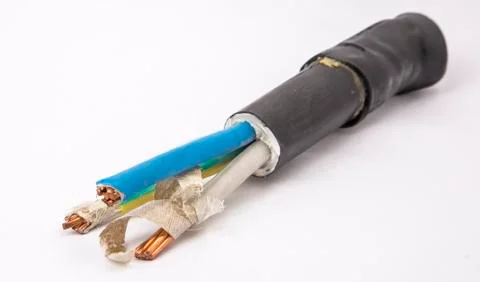 Cross section of high-voltage cable, polymer insulation Foto stock