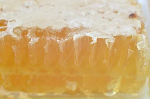 Cross Section of Honeycomb Stock Photos