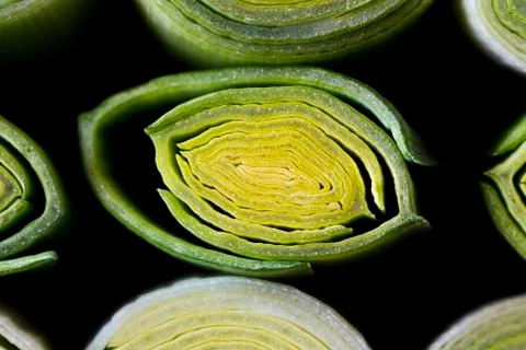 Cross-section of leek stem and leaves. Stock Photos