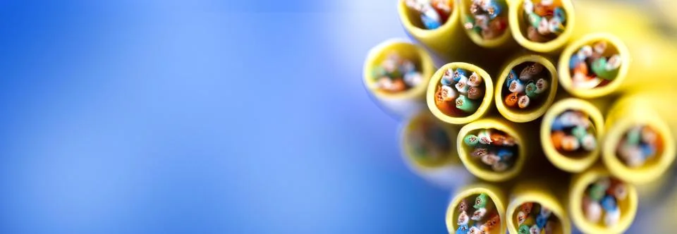 Cross-section of the network cable. Technological background. Wire. Macro pho Stock Photos