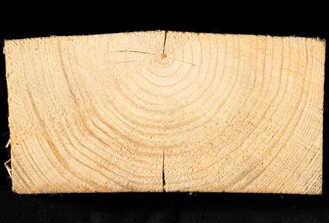 Cross section of a pine log with annual rings on a black background Stock Photos