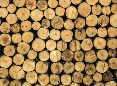Cross section of pine logs ready for winter (or as a background) Stock Photos