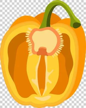 Cross-section of a ripe, orange pepper. Inside are seeds and green stem. He.. Stock Illustration