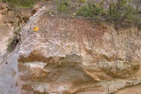 Cross section of sandy soil, relief vertical cut closeup Stock Photos