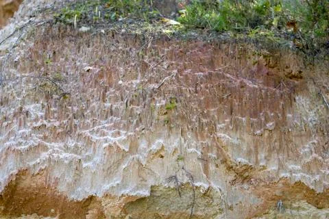 Cross section of sandy soil, relief vertical cut closeup Stock Photos