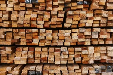 Cross section of sawn timber,Selection of freshly sawn timber material (beam) Stock Photos