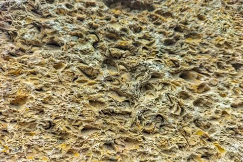 Cross-section of a shell wall with irregularities and air gaps between shel.. Stock Photos