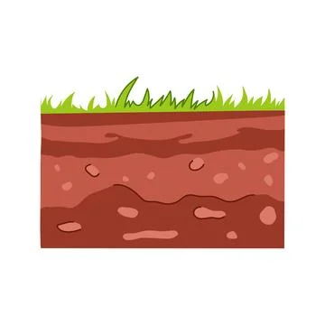 Cross section showing soil layers and green grass Stock Illustration