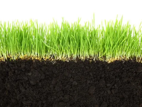 Cross-section of soil and grass isolated on white background Stock Photos