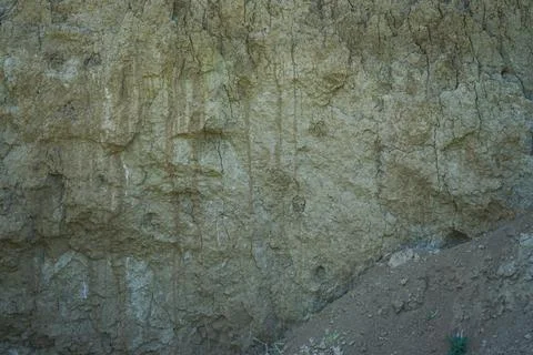 Cross-section in the soil. Texture layers of the earth. Stock Photos