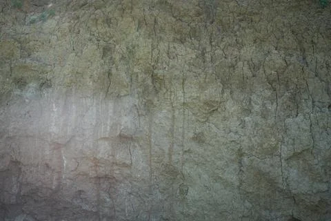 Cross-section in the soil. Texture layers of the earth. Stock Photos