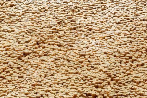 Cross section of sticks bundle Stock Photos