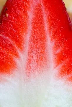Cross section of strawberry Stock Photos