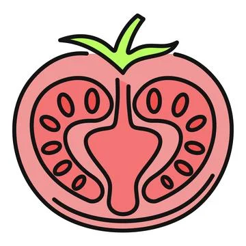 Cross section of tomato showing seeds and pulp Stock Illustration