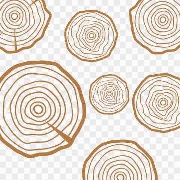Cross section of the tree. Abstract age annual circle tree background Stock Illustration
