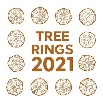 Cross section of the tree. Abstract age annual circle tree background Stock Illustration