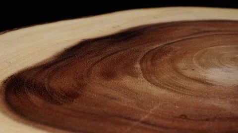 Cross section of the tree with age rings. Selective focus. Circular piece of  Stock Footage 171769414