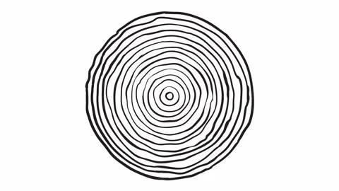 Cross section of the tree with age rings... | Stock Video | Pond5