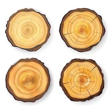 Cross Section Tree Set Wooden Stump Vector. Circles Texture Isolated. Tree Round Illustrazione stock