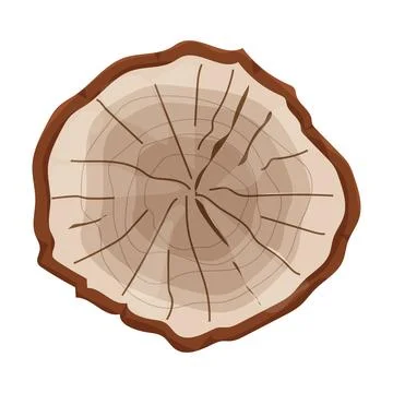 Cross section of tree stump in doodle style, textured aged log isolated on white 스톡 일러스트