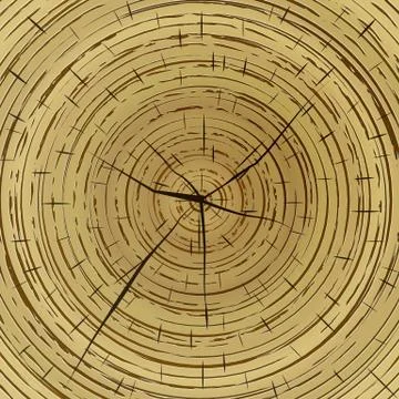 Cross section of tree stump Stock Illustration