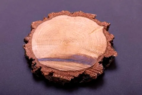 Cross section of tree stump isolated on black background Stock Photos