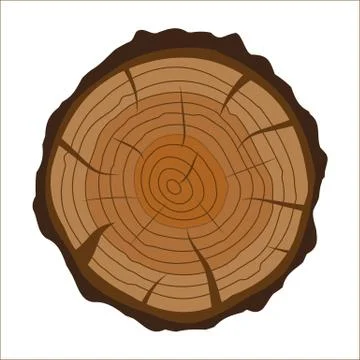 Cross section of tree stump or trunk. Wood cut. Stock Illustration
