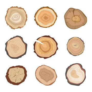 Cross section of tree stump rings set isolated on white background. Vector Stock Illustration