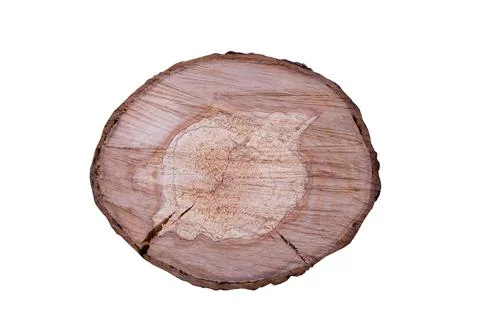 Cross section of a tree trunk with growth rings, for displaying perfumes, j.. Stock Photos