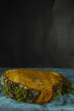 Cross section of tree trunk, isolated on black background. Stock Photos