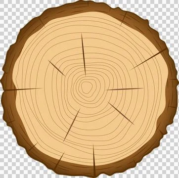 Cross section of a tree trunk showing growth rings; represents nature's pas.. Stock Illustration