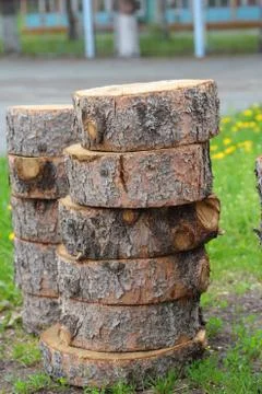 Cross section of tree trunk showing growth rings Stock Photos