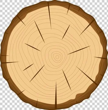 A cross-section of a tree trunk shows growth rings, revealing its age and h.. Stockillustratie