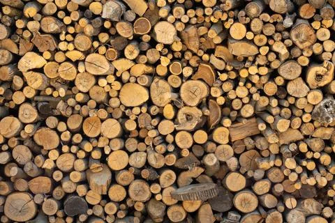 Cross section of tree trunks background. Cutting tree trunks placed together for Stock Photos