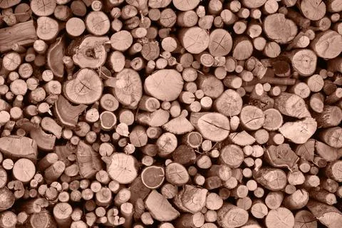 Cross section of tree trunks background. Demonstrating color of 2025 year mocha Stock Photos