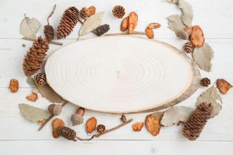 Cross-section of a tree on a wooden background in autumn style . top view wit Stock Photos