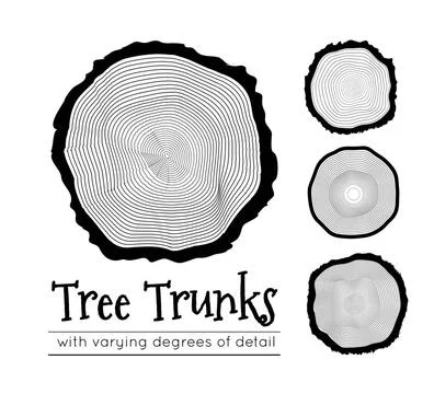 Cross section of the trunk, vector illustration Set of cross section of th... Stock Photos