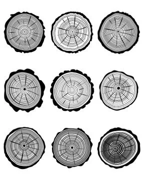 Cross section of trunks Stock Illustration